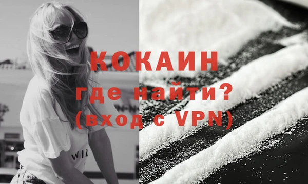 индика Корсаков