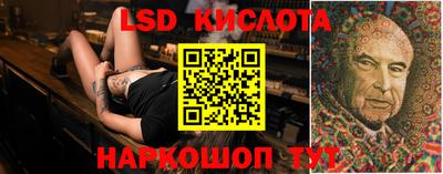 гидра Кингисепп