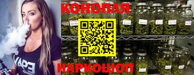 гидра Кингисепп