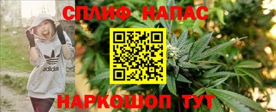 гидра Кингисепп