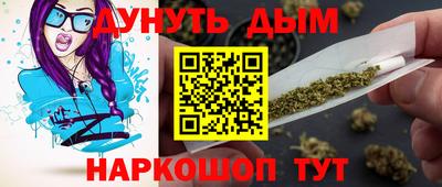 гидра Кингисепп