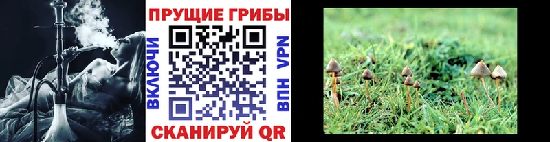Галлюциногенные грибы Psilocybine cubensis  закладки  MEGA как войти  Кудымкар 