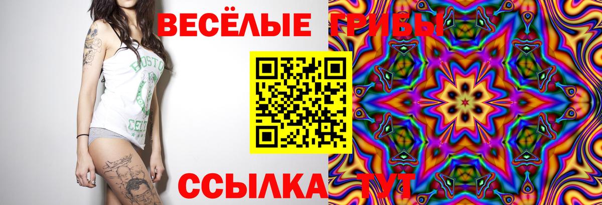 магазин    Псилоцибиновые грибы MAGIC MUSHROOMS  Вход с VPN  Кудымкар 